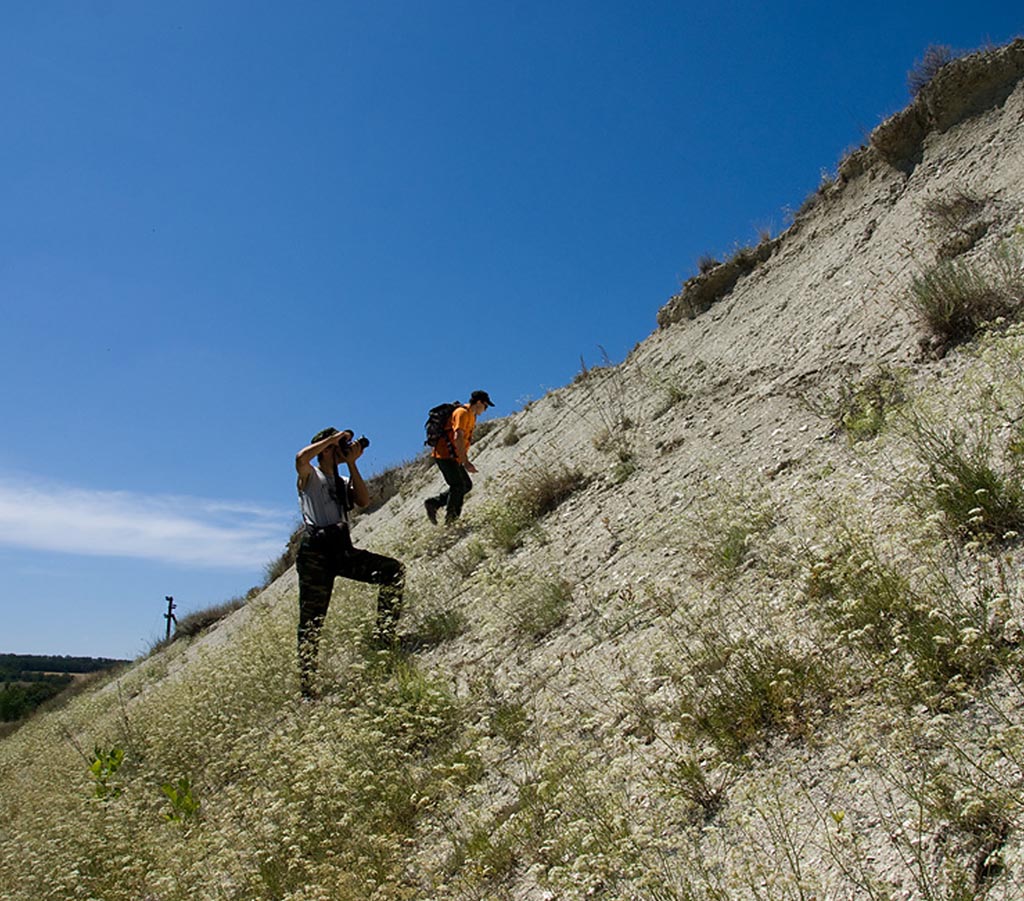 Исследовательская группа